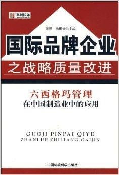国际品牌企业之战略质量改进 六西格玛管理
